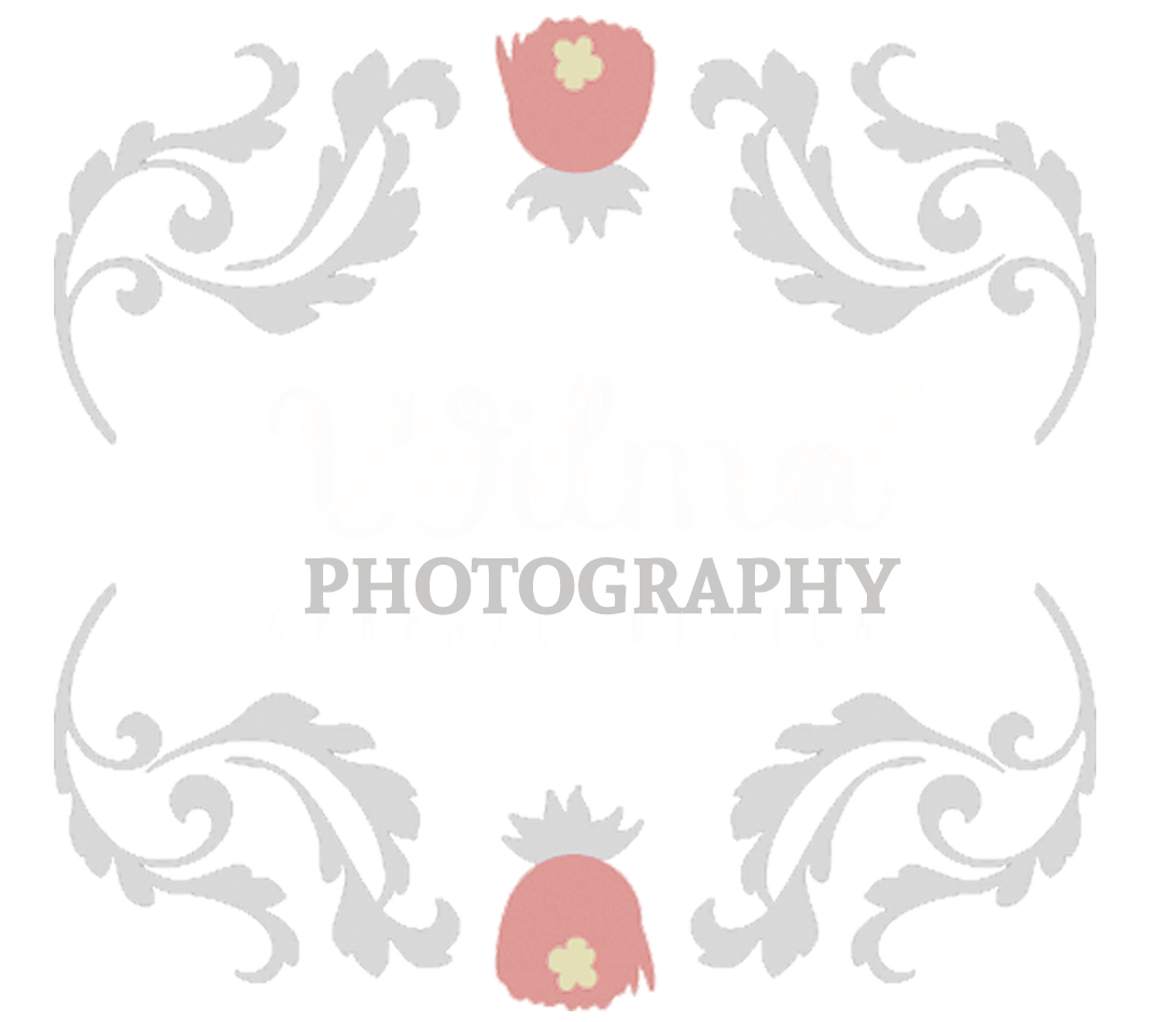 Iridescent Photography